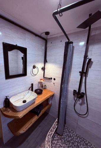 a bathroom with a sink and a shower at Cabin Rujište in Padežina