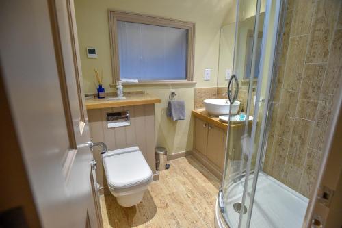 a bathroom with a toilet and a sink and a shower at the kingsbury 7even 8ight in Marlborough