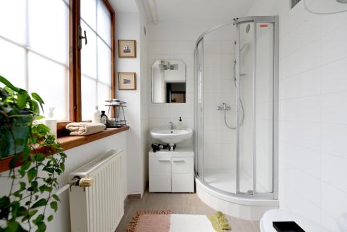 Koupelna v ubytování Apartmán POD HRADOM