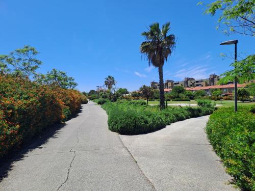 a road with a palm tree in the middle at B&b Il Giardinetto in Selargius