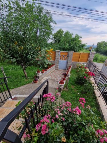 Gallery image of Apartament in vila in Paşcani