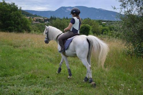 a girl riding a white horse in a field at Appartamento Farnia a 3km da Garda in Castion Veronese