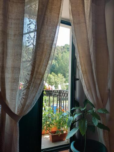a window with curtains and a plant on a balcony at Casa Licerio in Samos