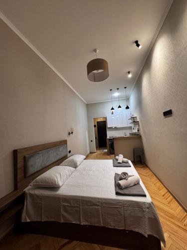 Una cama o camas en una habitación de Apartment KARVASLA