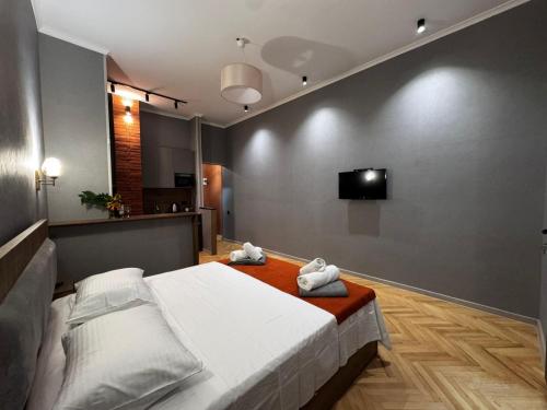 Una cama o camas en una habitación de Apartment KARVASLA