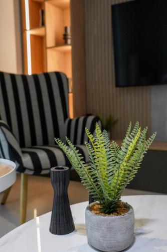 Airrent Apartments 2 Designer Stay Free Parking Quiet Central