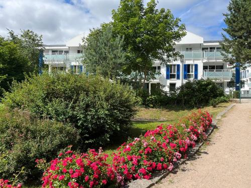 a building with a row of flowers in a garden at ZingstUrlauber in Zingst