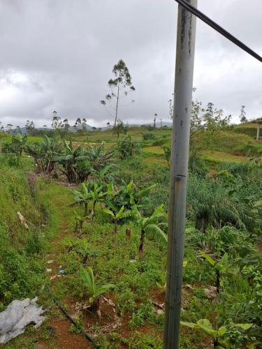 a pole in the middle of a field at Mountain breeze villa in Hatton