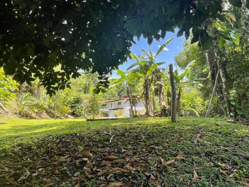 a house in the middle of a grassy yard at Dominical Beach 15 min Private Retreat Casa Grande in Platanillo