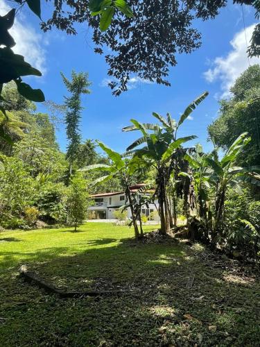 a house in the middle of a field with trees at Dominical Beach 15 min Private Retreat Casa Grande in Platanillo