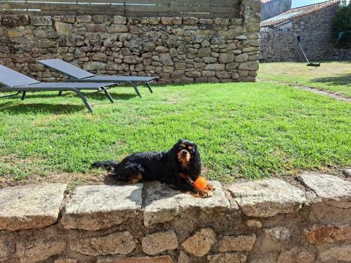 Le Cordonnier d'Autrefois - 15 minutes du Puy du Fou