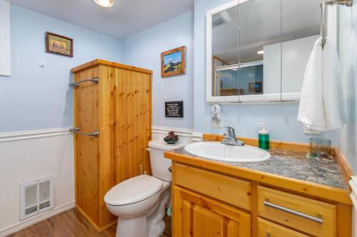 a bathroom with a white toilet and a sink at Coal Creek Chalet | Creek, AC, Pet Friendly in Packwood