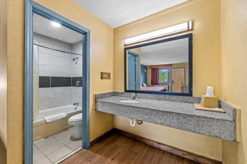 a bathroom with a sink and a toilet and a mirror at Econo Lodge Charlotte Airport Area in Charlotte