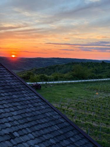 a view of the sunset from the roof of a house at Domeniul Drăgași in Călina