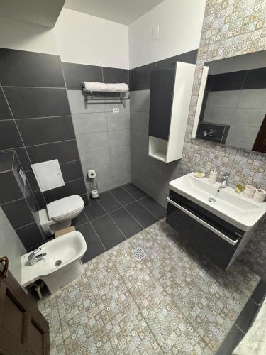 a bathroom with a sink and a toilet at Ego Apartments in Drobeta-Turnu Severin