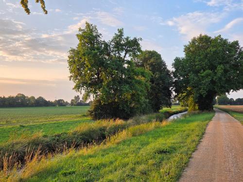 a dirt road in the middle of a field with trees at 2- Zimmer-Wohnung in Weilerswist