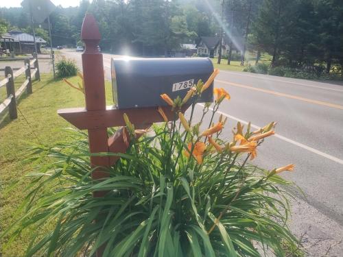 Taman di luar Sunny & Open 2 Bdrm - Close to Stowe Village, Shopping, Mtn Views!