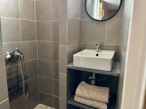a bathroom with a sink and a mirror at Charmant studio au calme, Stationnement gratuit in Saint-Denis