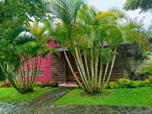 two palm trees in front of a house at Jardín Utopía in Jardin