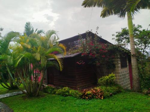 a house with a palm tree in front of it at Jardín Utopía in Jardin