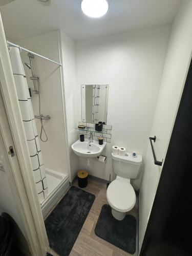 a small bathroom with a toilet and a sink at 248 Halls in Middlesbrough