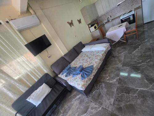 Kuchyň nebo kuchyňský kout v ubytování Beachfront Apartment Thassos