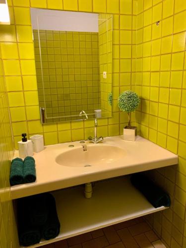 O baie la Studio Carcassonne Hyper Centre