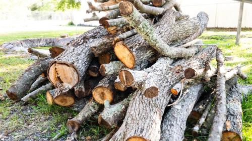 a pile of tree logs laying on the grass at Zephyrhills House for 4 people WiFi BBQ Mini Golf in Zephyrhills