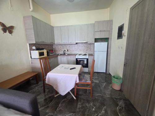Kuchyň nebo kuchyňský kout v ubytování Beachfront Apartment Thassos