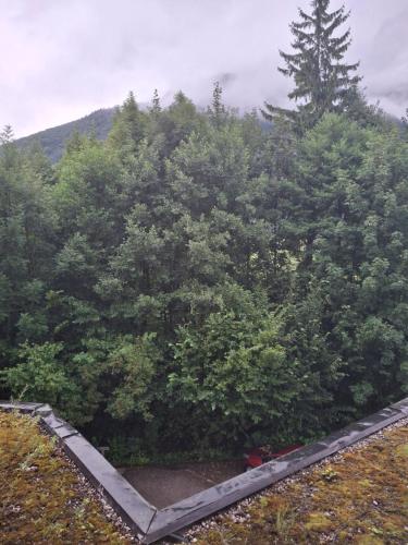 an overhead view of a forest of trees at Golfplatz in Bad Ischl