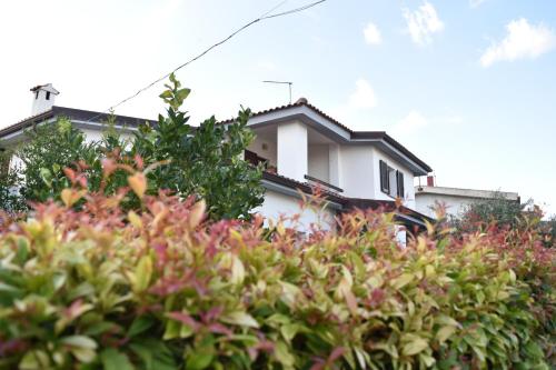 a white house behind a hedge of plants at Sardegna23 - Appartamento Vacanze - in Orosei