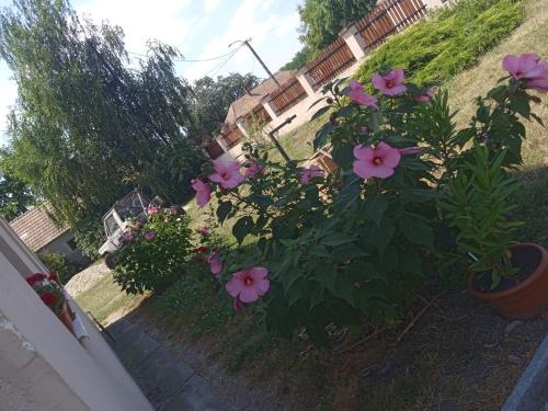 Szilasi Vendégház Apartman2