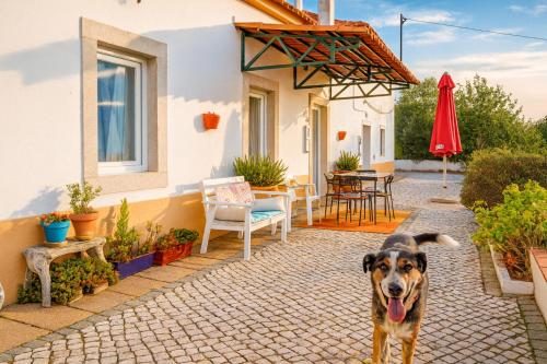 a dog standing in front of a house at Casa da Ti Bia in Setúbal