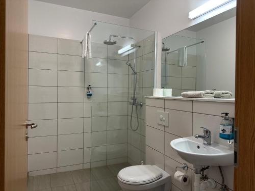 a bathroom with a shower and a toilet and a sink at Hotel Studlagil in Skjöldólfsstaðir