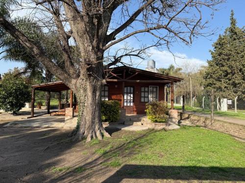 Κήπος έξω από το Complejo de Cabañas Las Ranas