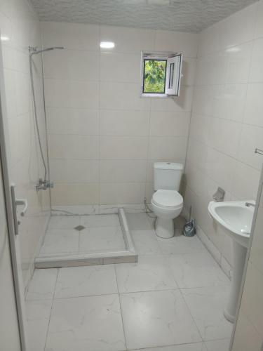 a white bathroom with a toilet and a sink at Шода in Gari