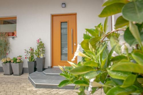 a front door of a house with potted plants at Apartments Šlosarjeva Hiša Nature & Tradition in Preddvor