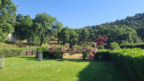 a garden with trees and flowers in a field at Posada el Camino Almonaster in Almonaster la Real