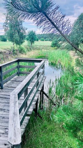 a wooden bench sitting on a boardwalk next to a pond at Na Skraju Puszczy in Cieciory