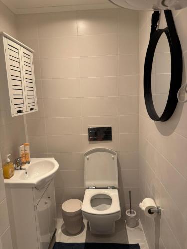 a bathroom with a toilet and a sink and a mirror at Ground floor apartment in Ponta Delgada in Ponta Delgada
