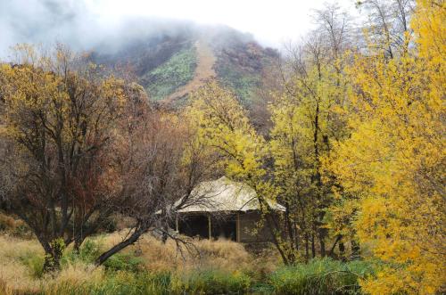 an old cabin in the middle of a field with trees at Rancho Grande in Ojai