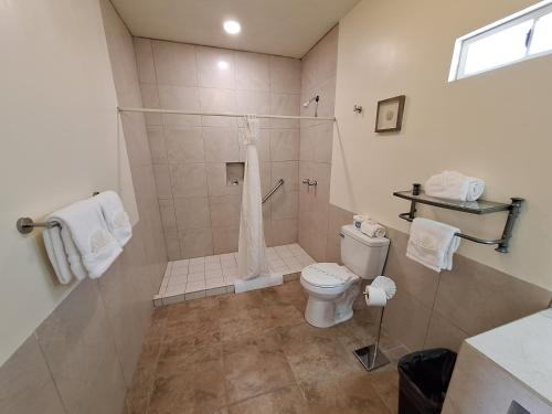 a bathroom with a shower and a toilet in it at #44#27#56al#67 Rooms 2 beds near beach in San Felipe