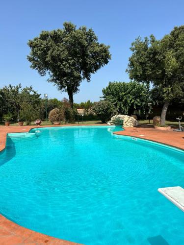 a large blue swimming pool with trees in the background at Residenza Rinascimento 