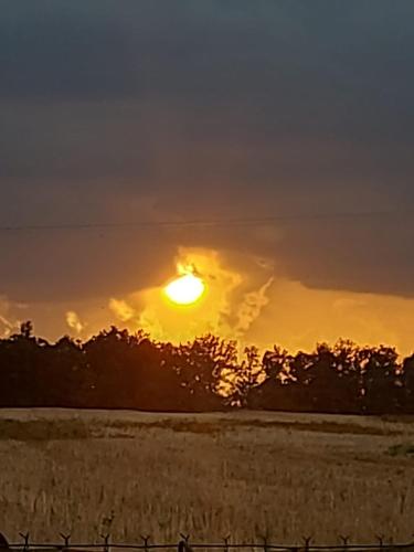 a sunset in a field with the sun in the sky at Chata Květov in Květov