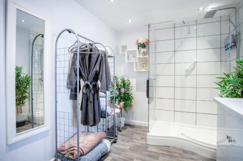 a bathroom with a shower and a towel rack at Portway Nook - 1 Bedroom Studio - Bishopston in Bishopston