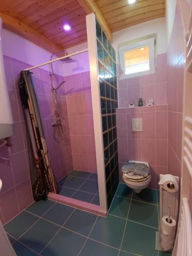 a pink bathroom with a shower and a toilet at Marilyn Vendégház in Kehidakustány