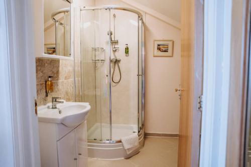 a bathroom with a shower and a sink at Charming Rural Escape with Hot Tub Play Room BBQ in Llawhaden