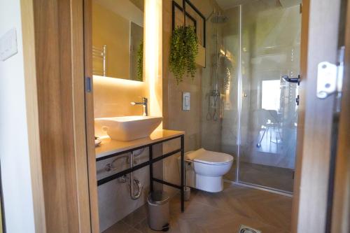 a bathroom with a sink and a toilet and a shower at Vila Karlovčanka smeštaj u centru Sremskih Karlovaca in Sremski Karlovci