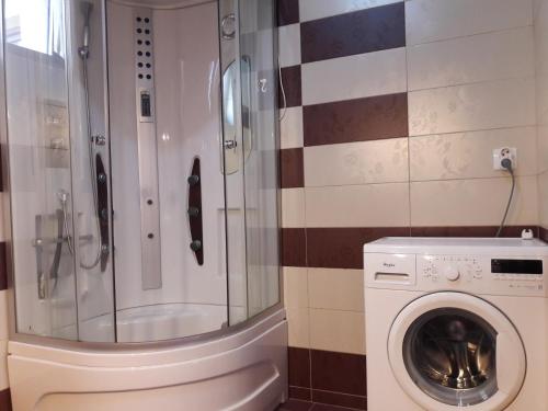 a bathroom with a washing machine and a shower at Perfect Stay in Sibiu
