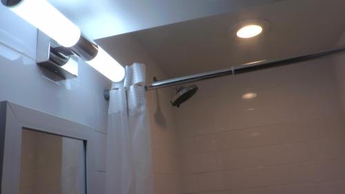 baño con cortina de ducha y luz en Lincoln Howard House, en Washington